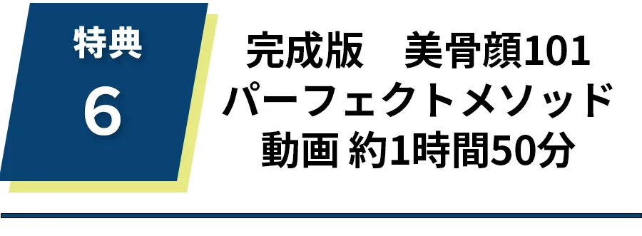 完成版　美骨顔１０１パーフェクトメソッド